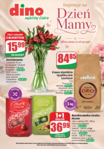 Gazetka promocyjna Dino ważna 22-26.05.2026